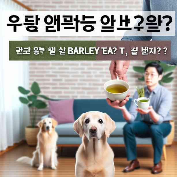 강아지에게 보리차 급여, 안전한 선택인가? 녹차는? 강아지에게 보리차 급여, 안전한 선택인가? 녹차는?