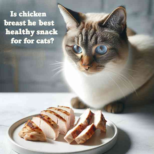 닭가슴살, 고양이를 위한 최고의 건강 간식일까? 닭가슴살, 고양이를 위한 최고의 건강 간식일까?
