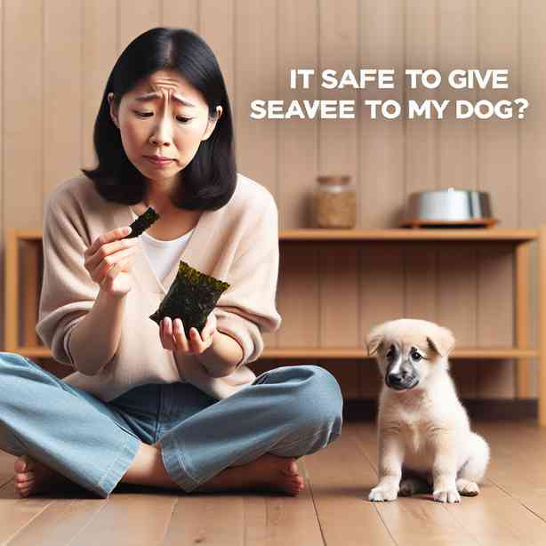 강아지에게 김을 주는 것이 안전한가요? 강아지에게 김을 주는 것이 안전한가요?
