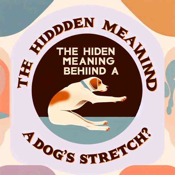 기지개 치는 강아지, 그 행동의 숨겨진 의미는? 기지개 치는 강아지, 그 행동의 숨겨진 의미는?