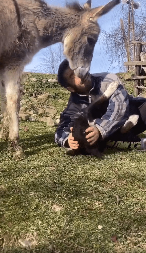 출처 - Instagram 사용자 @ccihancelik_