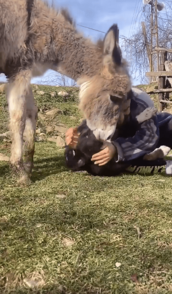 출처 - Instagram 사용자 @ccihancelik_