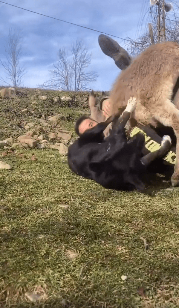 출처 - Instagram 사용자 @ccihancelik_