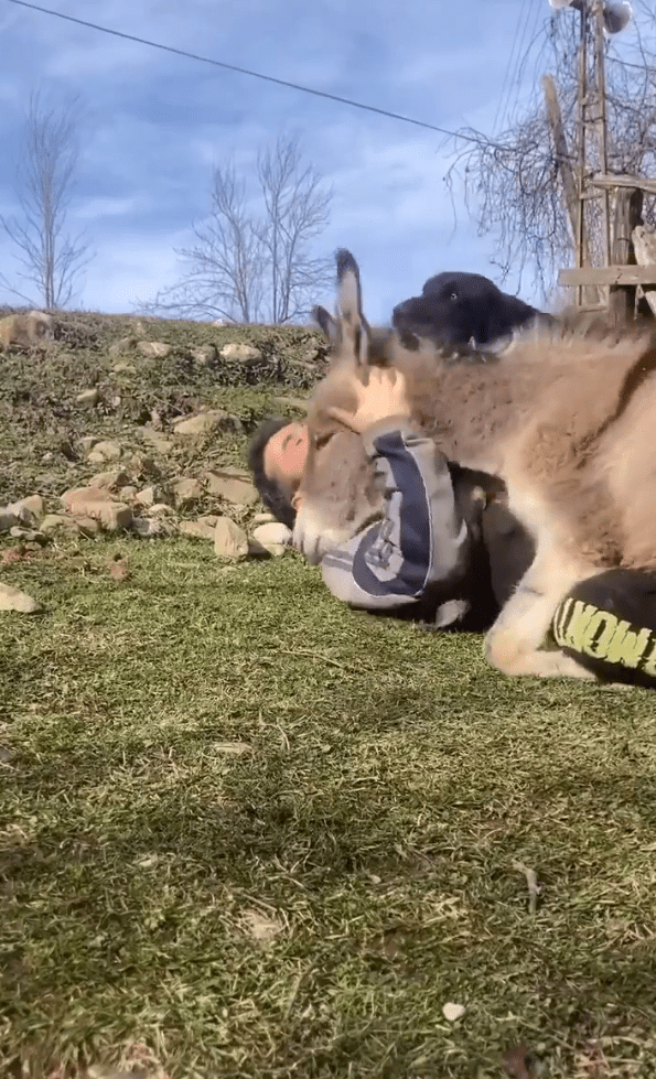 출처 - Instagram 사용자 @ccihancelik_