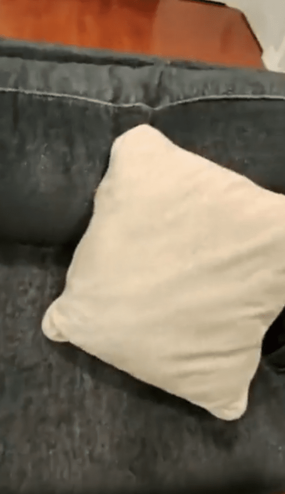 출처: Reddit 게시물