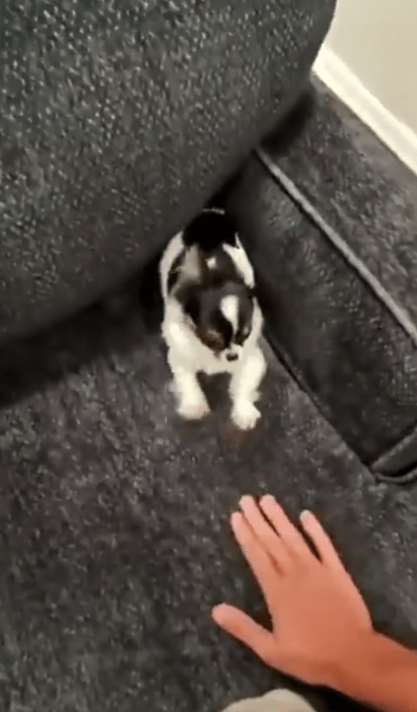 출처: Reddit 게시물