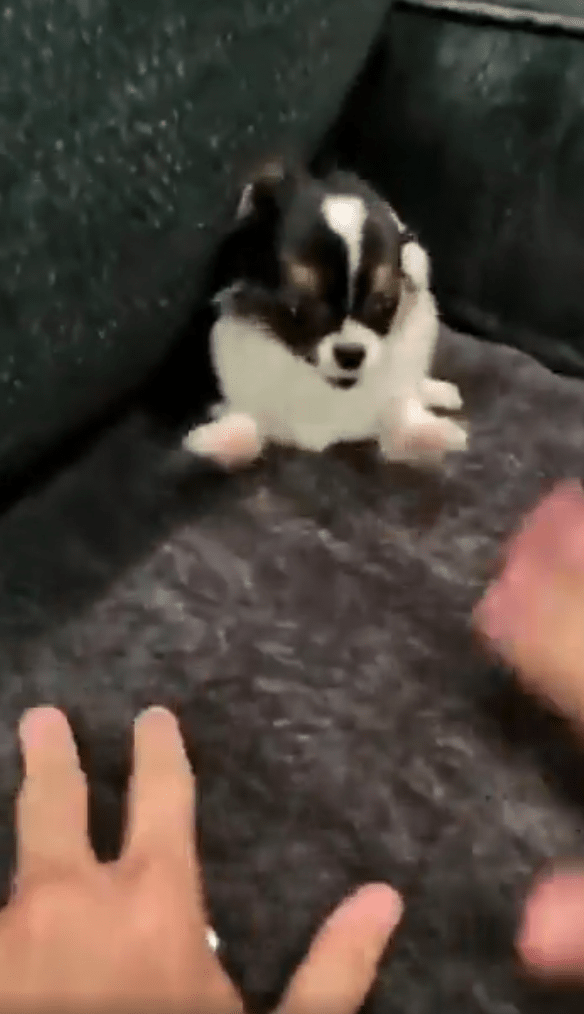 출처: Reddit 게시물