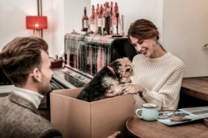 반려동물, ‘나와 잘 맞는지’도 중요하게 봐야