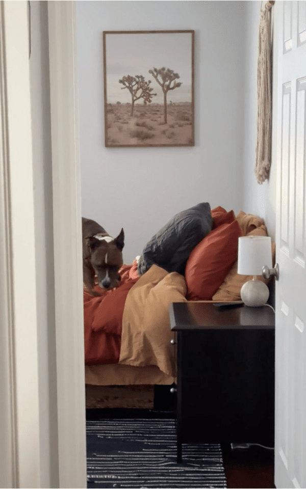 출처: Reddit / "여기가 아니야"