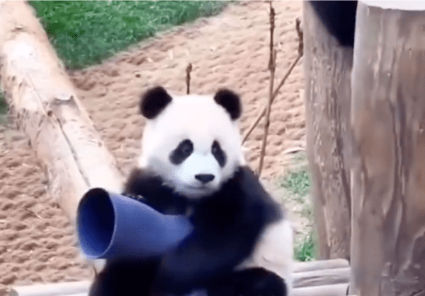 출처: Reddit / “나의 소중한 고무장화..”