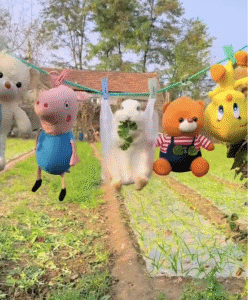 아기 토끼의 맑고 바람 부는 날씨를 즐기는 방법