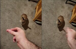 토끼를 움직이게 한 주인의 핑거스냅! 토끼가 원한 것은?