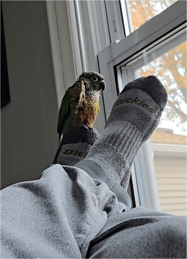 출처: Reddit / "다음엔 더 자연스럽게 인사해 볼게"