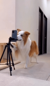 “오늘의 영상 시청 후에 구독과 좋아요, 꼭 눌러주세요!”