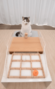 “이 정도 게임은 식은 죽 먹기지!” 틱택토하는 ㅇㅇㅇ들