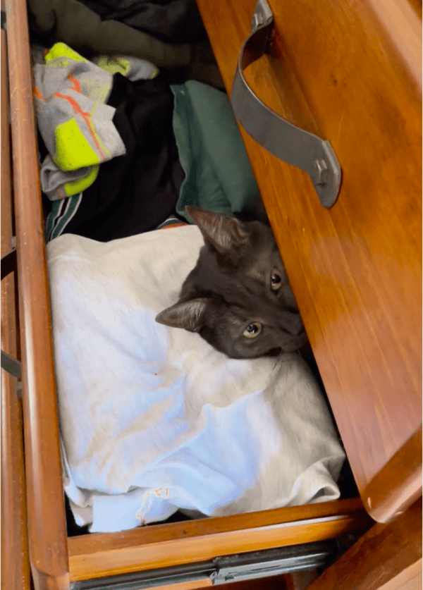 출처: Reddit / 사라질 준비 완료