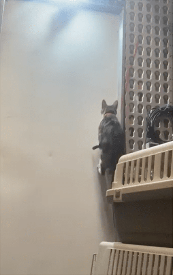 출처: Reddit / 정확한 높이로 점프!