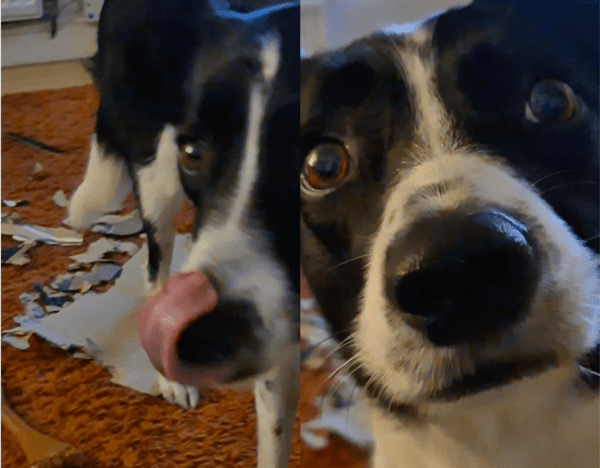 출처: Reddit / "무슨 일 있었어?"