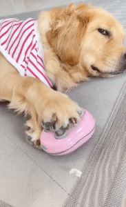 누워서 이곳 저곳 셀프 마사지를 즐기는 ㅇㅇㅇㅇ