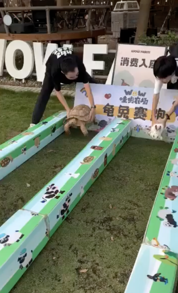 출처 : Reddit / 토끼와 거북이의 달리기 경주