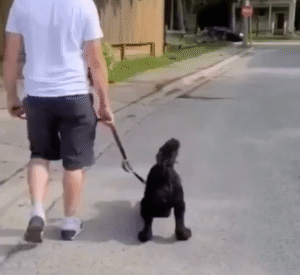 드디어 우리 가족이 기다리던 토요일이 왔다!