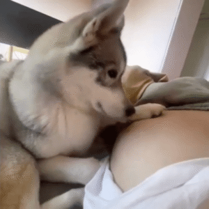 “작은 주인이 나를 부르는 것 같아!” 태동에 놀란 ㅇㅇㅇ