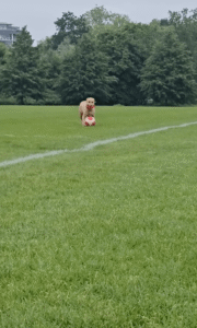 노는 것도 멀티 태스킹이 가능합니까? 가능한 ㅇㅇㅇㅇ