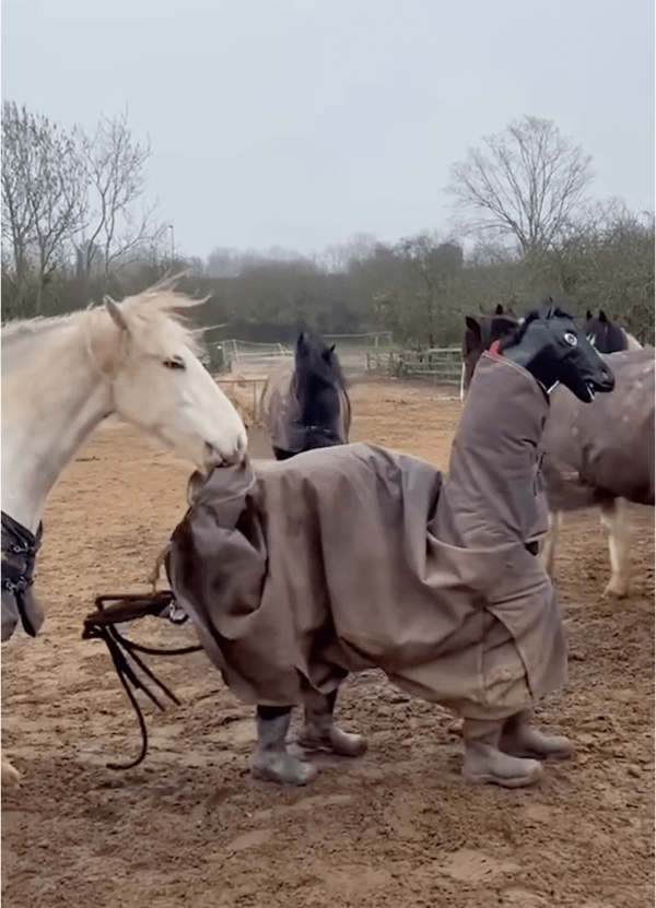 출처: Reddit / "정체를 파헤치겠다"