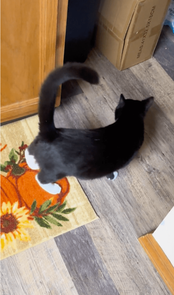 출처: Reddit / "기분 좋게 하루를 시작할 수 있겠어"