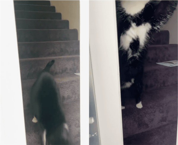 출처: Reddit / 문을 열어준 이의 정체는?