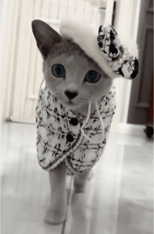 출처: Reddit / 미묘의 런웨이 현장