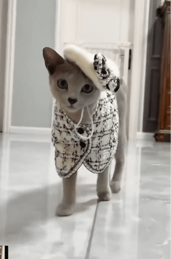 출처: Reddit / 매혹적인 청록색 눈