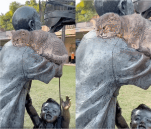 고양이가 공원에서 찜한 최애 잠자리는?