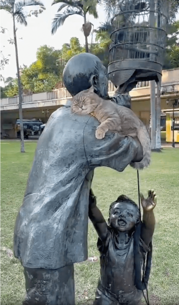 출처: Reddit / 동상 위에서 낮잠 타임 갖는 고양이