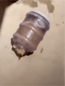 고양이 액체설, 통 하나로 검증 완료?