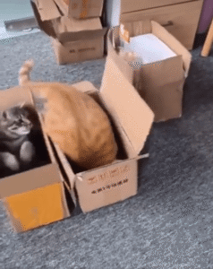 “좀 조용히 하고 삽시다!” 벽간소음으로 싸우는 ㅇㅇㅇ