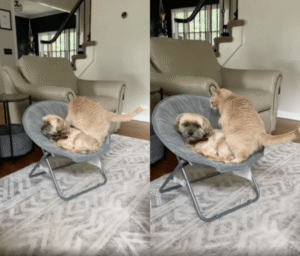 “내가 먼저 앉았어!”, “그러든지 말든지” ㅇ과 ㅇㅇㅇ의 자리싸움