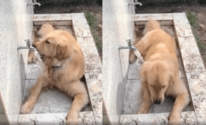 내가 가는 그곳이 워터파크 명소인 ㅇㅇㅇㅇ