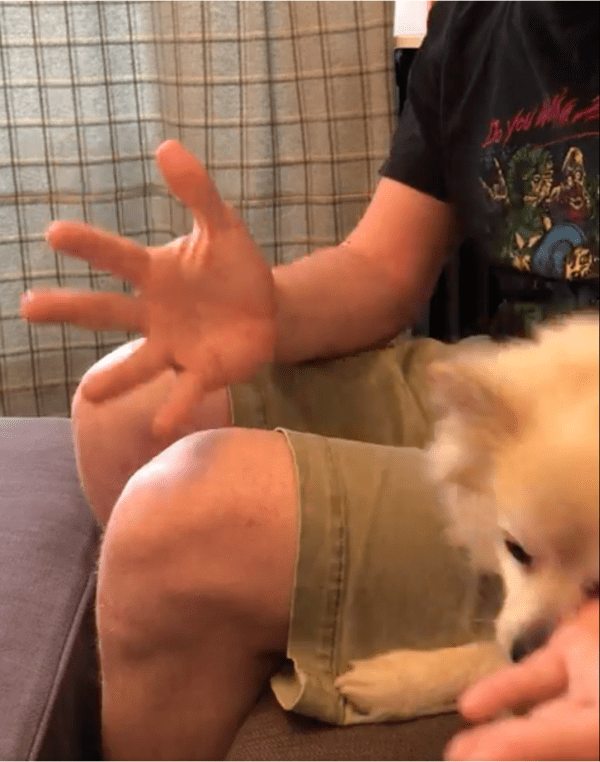 출처: Reddit / "펜을 찾으러 가겠어"