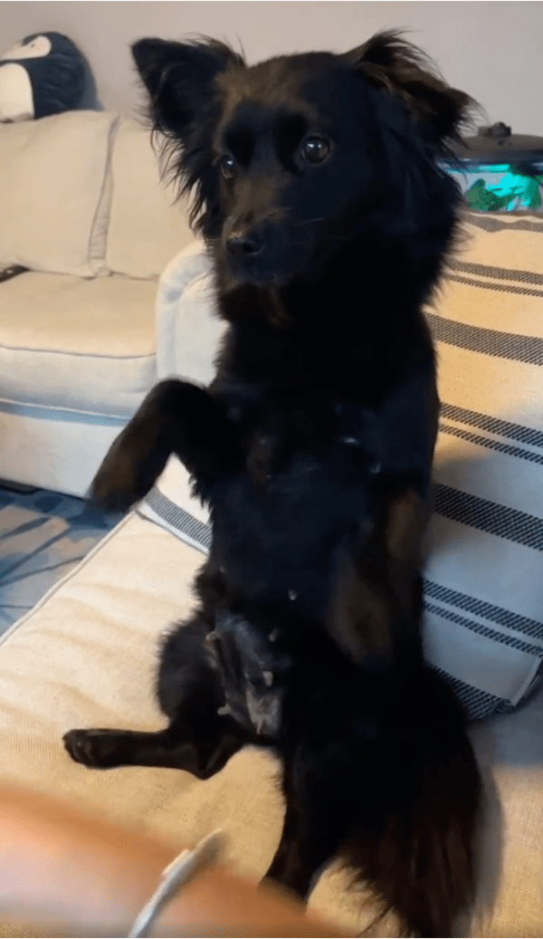 출처: Reddit / "어...? 어디가?"