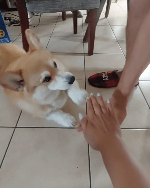 출처: Reddit / "그렇다면 나도!"