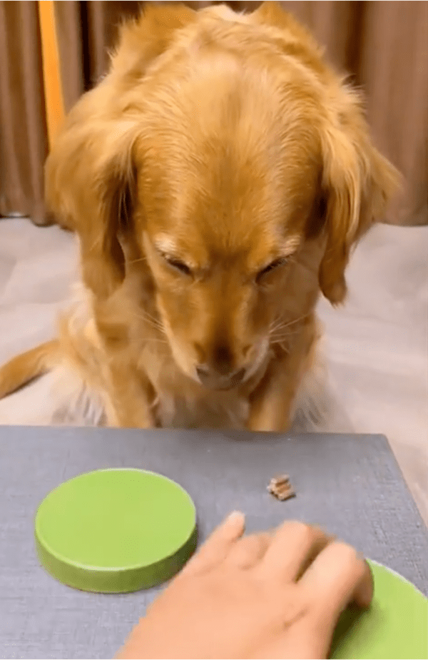 출처: Reddit / 정답입니다