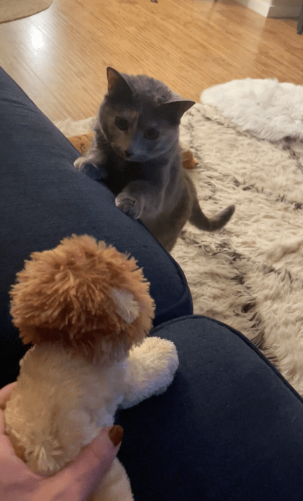 출처: Reddit / "넌 대체 누구냐"