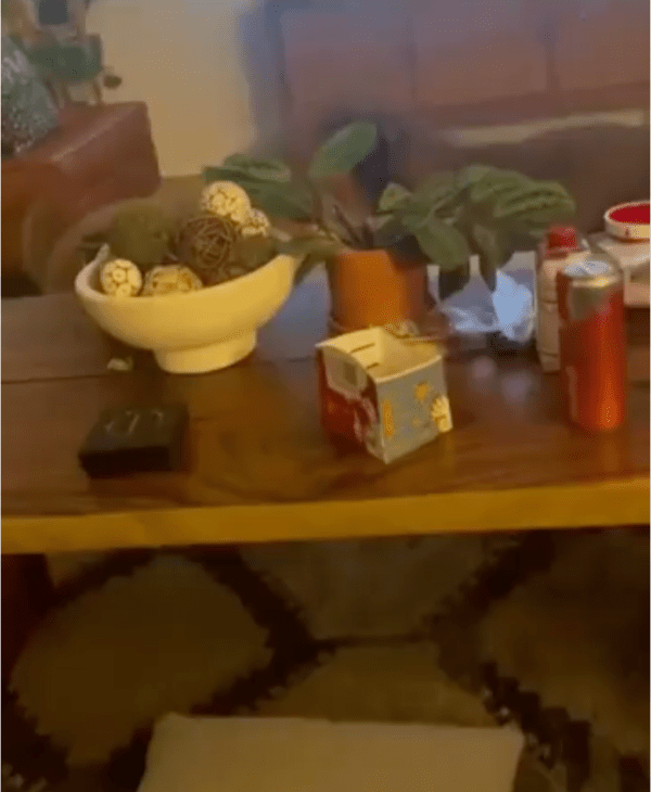 출처: Reddit / 거실을 복싱 링으로 만든 건 누구?