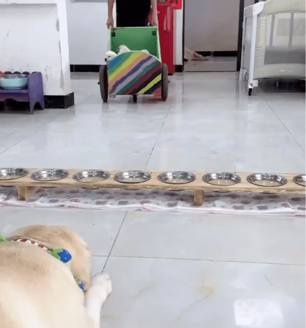 출처: Reddit / “밥 먹을 시간이다!”