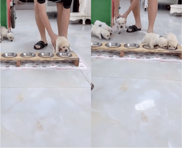 출처: Reddit / 각자의 위치로 배치하는 손길