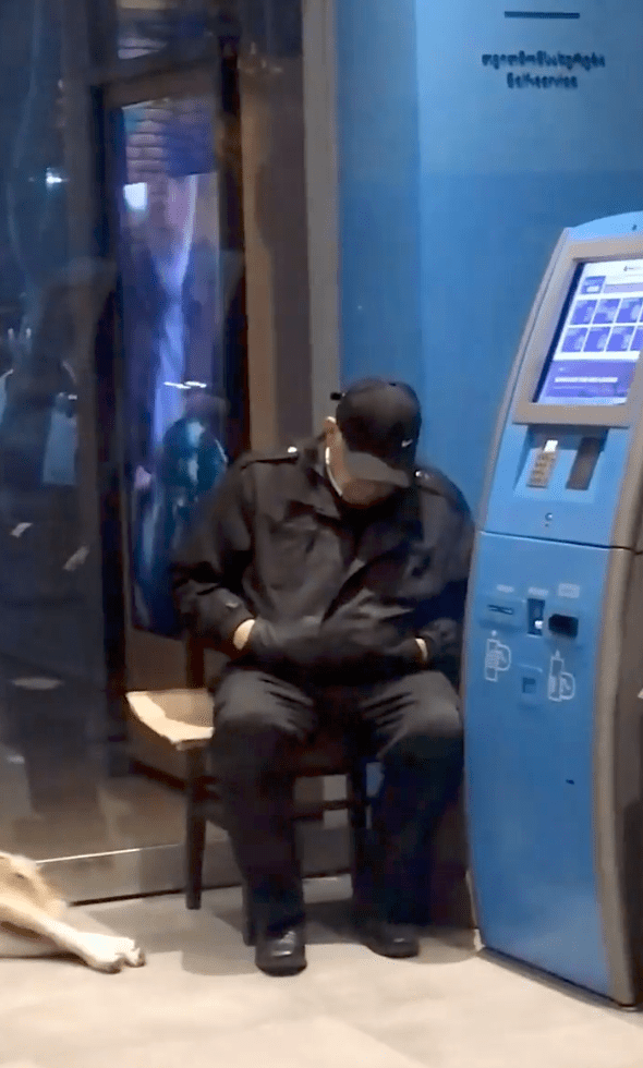 출처 : Reddit / 강아지들을 쫓아내지 않고 같이 쉬고 있는 경비원