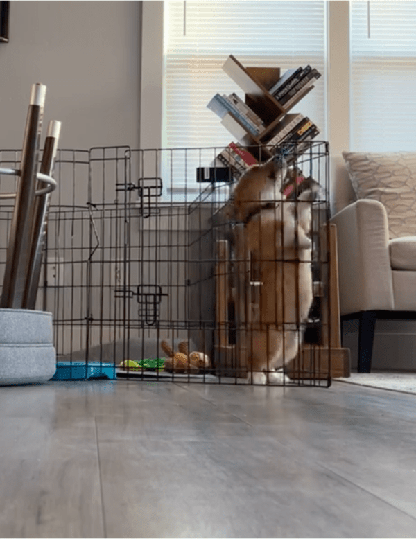 출처: Reddit / "여기서 빠져 나가야지!"