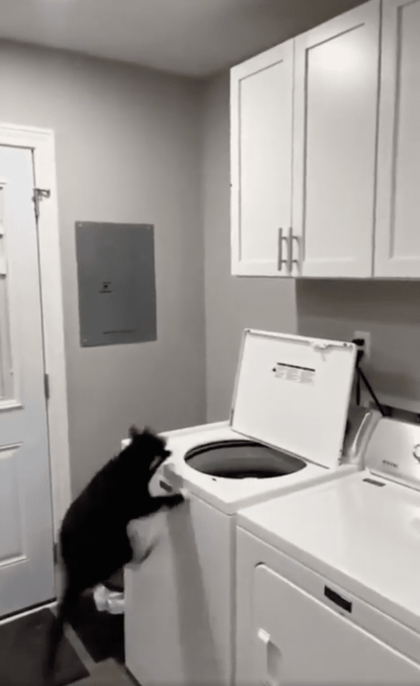 출처: Reddit / "지금이다, 점프!"