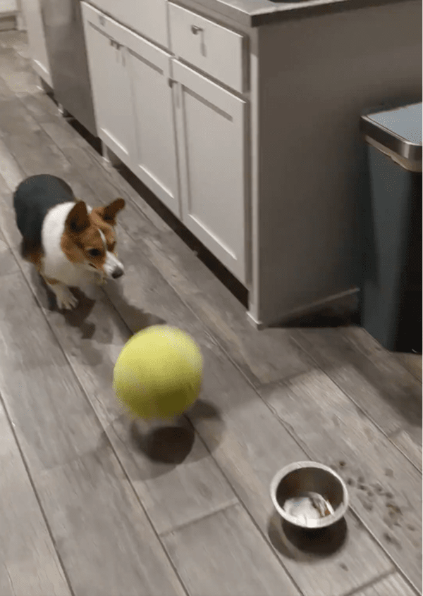 출처: Reddit / 사방으로 흩어지는 사료